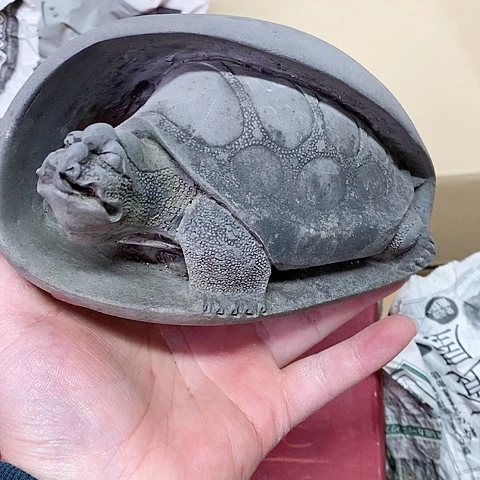 紫砂哈哈哈哈哈哈哈哈