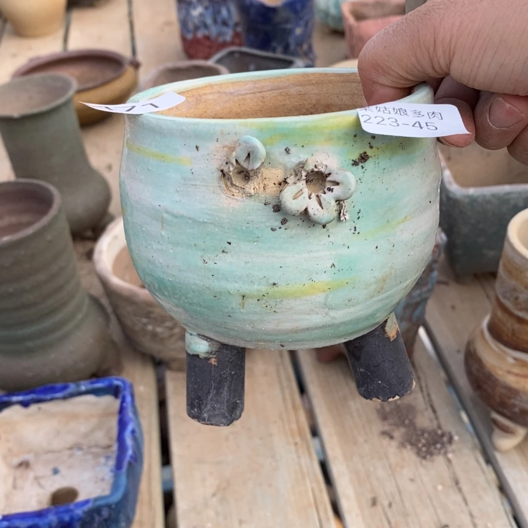 红陶蝴*45号瑕疵瑕疵瑕疵