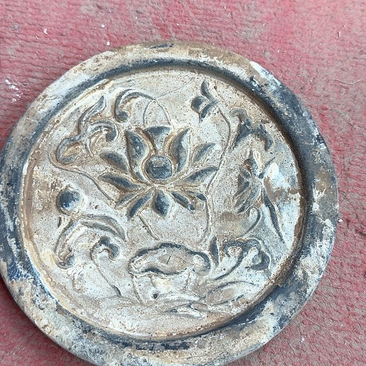 莲花的真的是很漂亮啊莲花