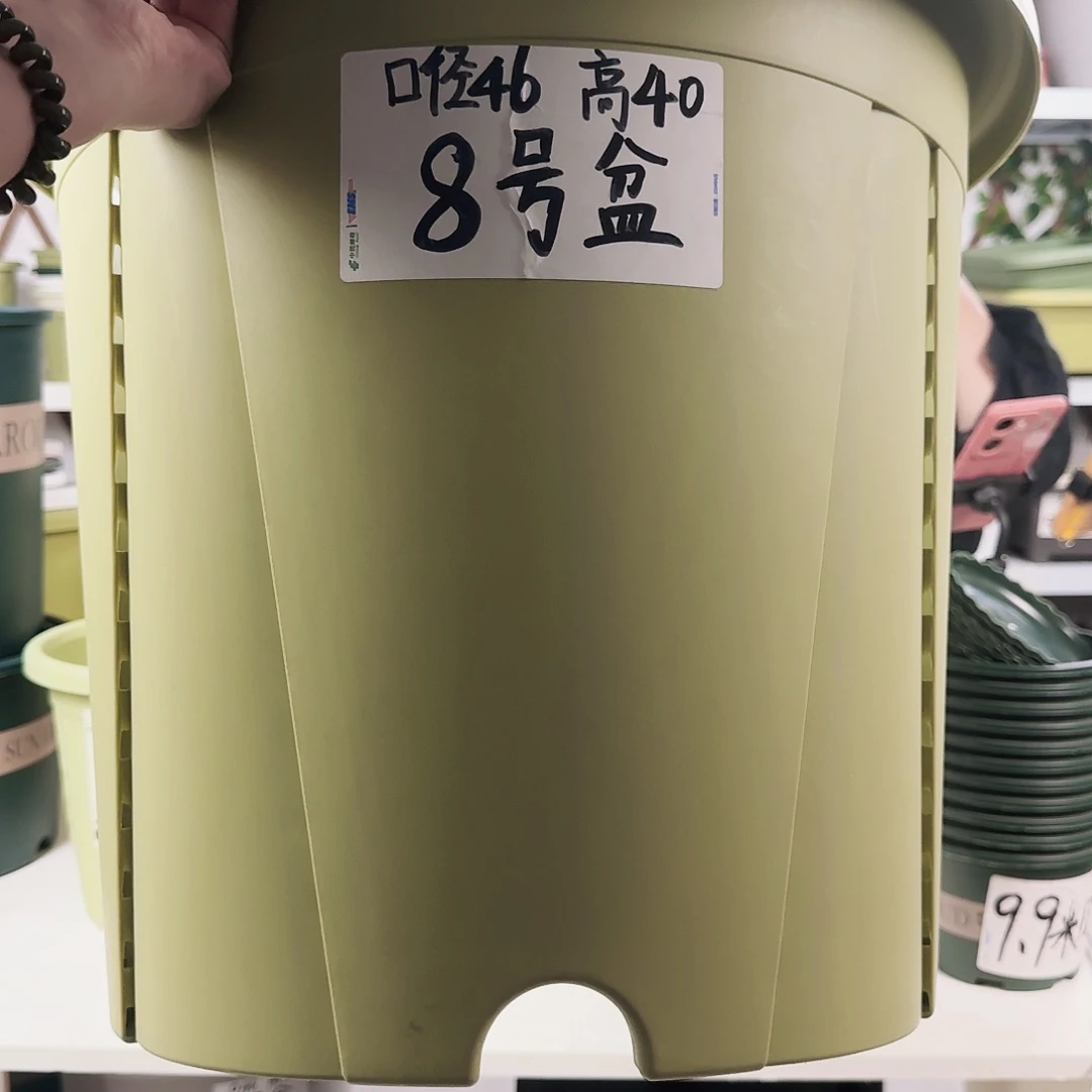 青山控根8号果绿1个盆带托加轮子8个