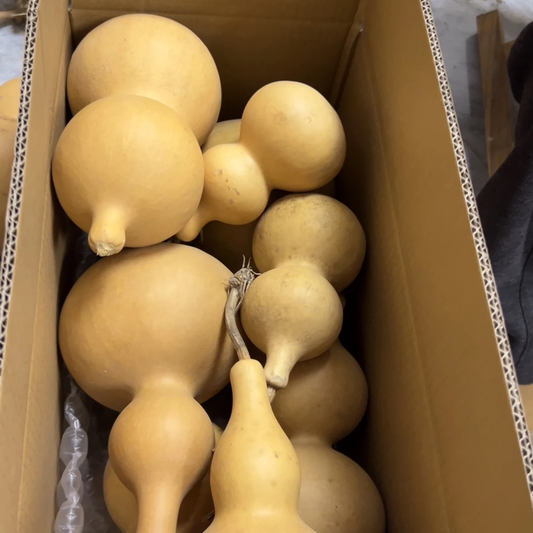 云***龙有机玻璃葫芦葫芦