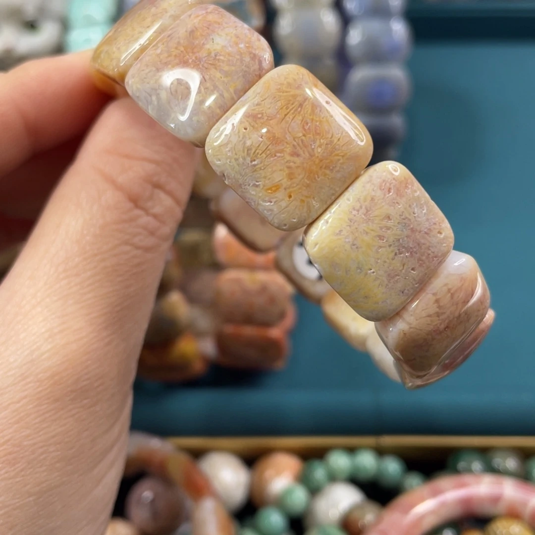 未镶嵌手镯硅化玉