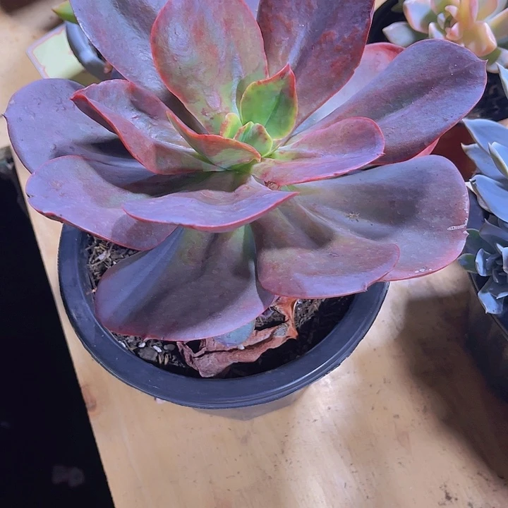 广****）00000000000000405