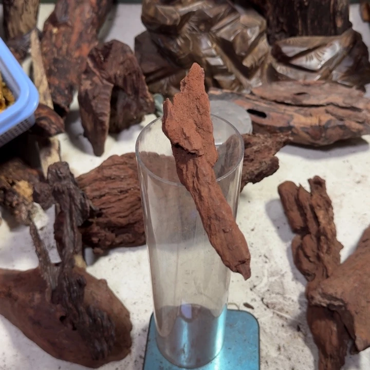 花梨木类海南红降花梨公