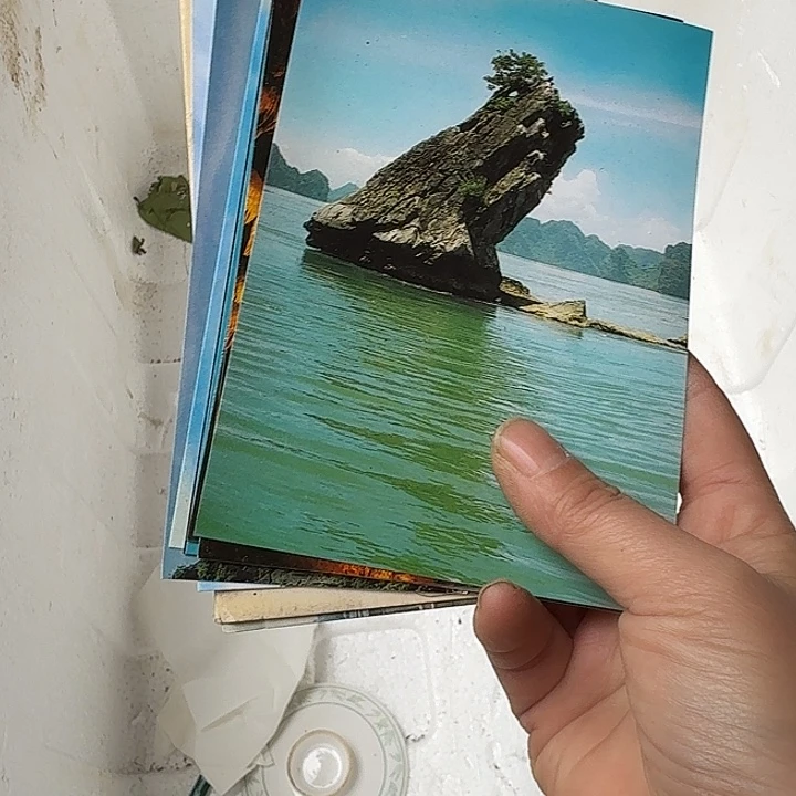 孤****扇子cbxbbddbdbdbdb