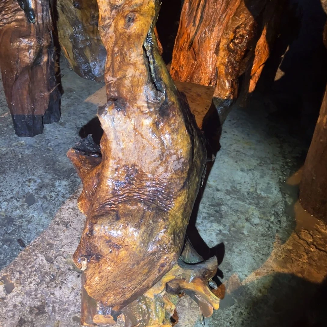 金丝楠彭*22222222222222