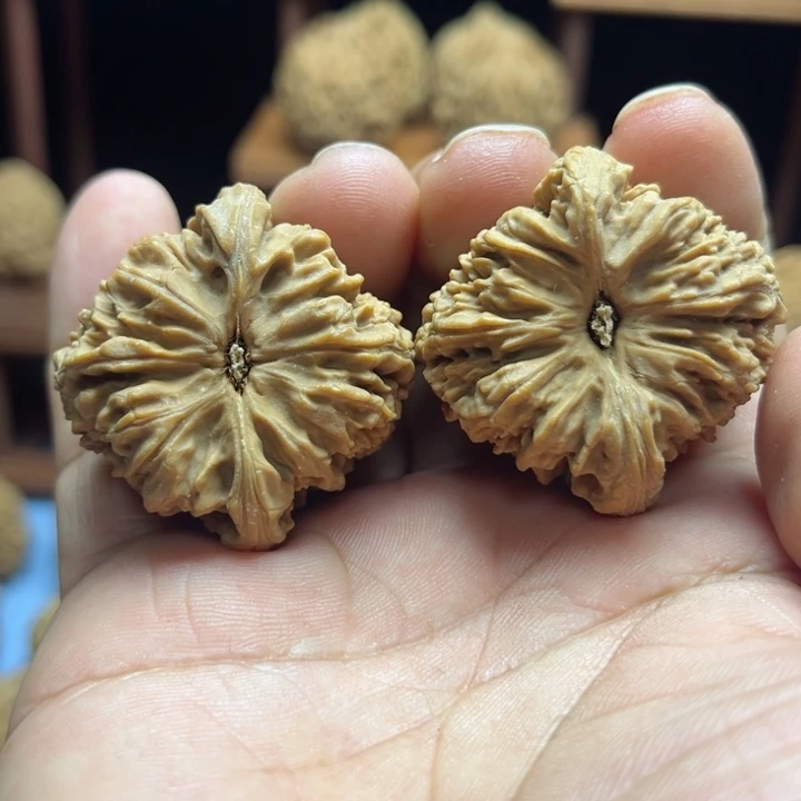 完全开放八***十南疆石