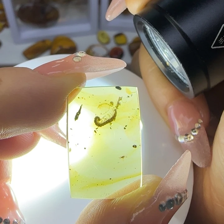 琥珀未镶嵌裸石虫珀标本