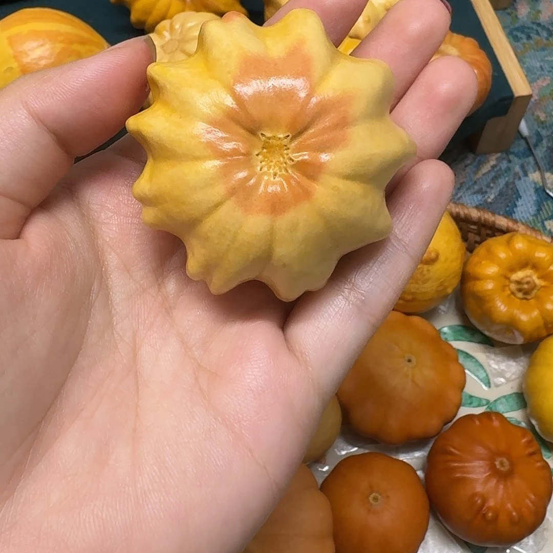 小瑕双色花花接受拍