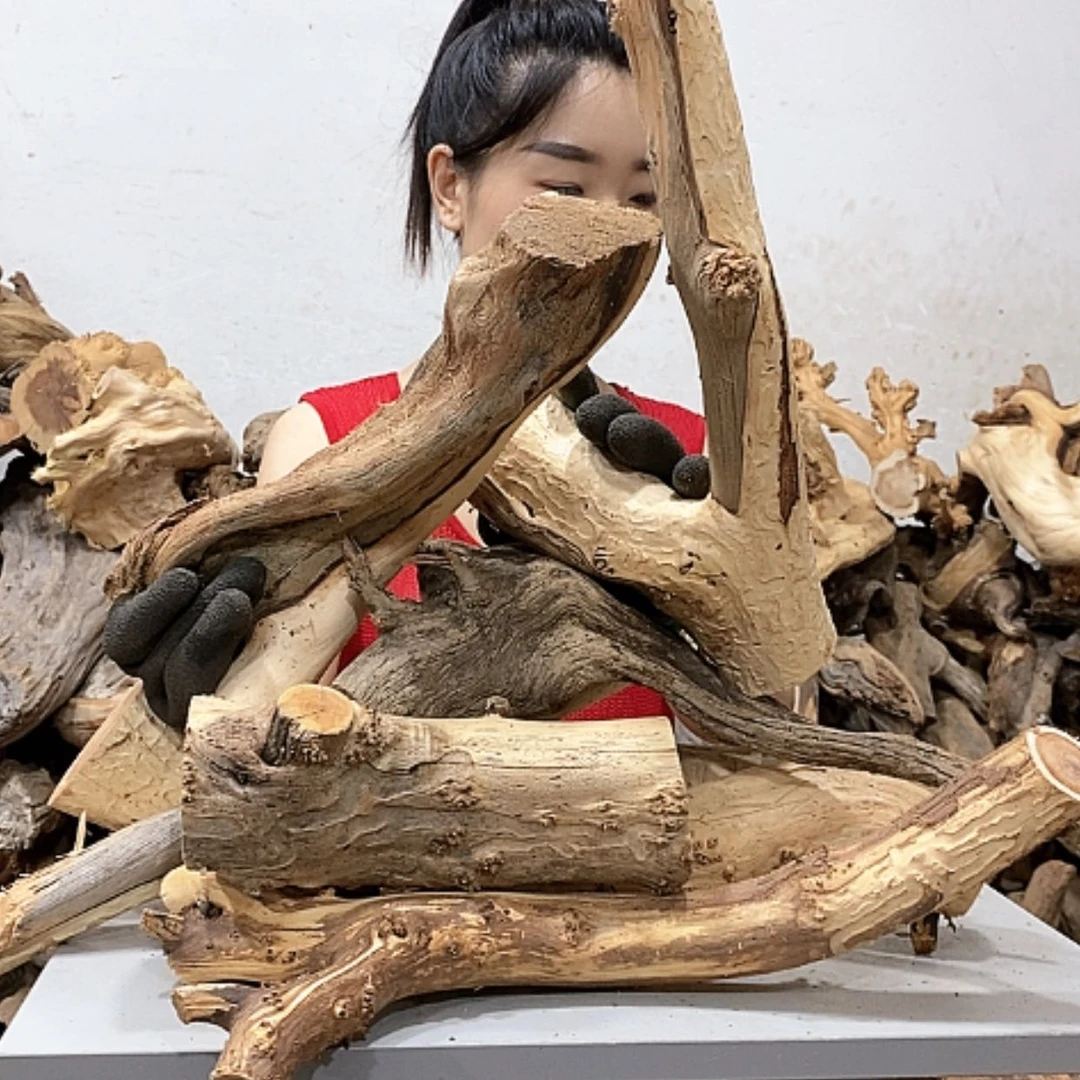 【闪购商品】柏木天****艺我们都是好孩子啊