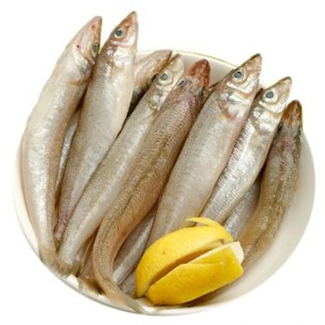 沙追鱼500g/份（海水冰鲜）