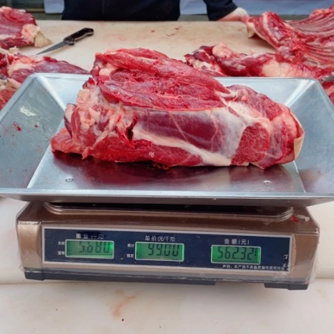 【闪购商品】冷冻保存30天包装河北省