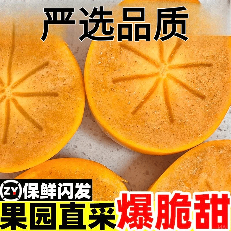 巧克力脆柿子新鲜时令水果脆甜生吃孕妇黄柿应季包邮非火晶柿子