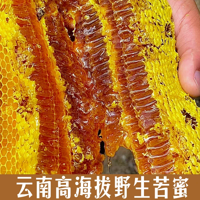 云南高海拔野生 苦蜜 中草植物花蜜 500g包邮 高山蜂蜜