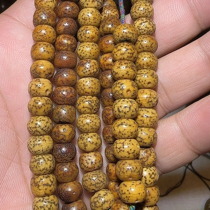 藏区老星月念珠保老
