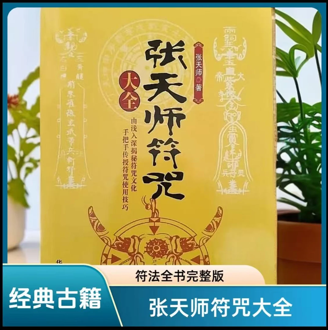 张天师大全神符精解灵符显灵光符咒灵符画法书籍经典国学抄底书籍