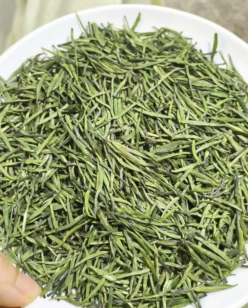2025龙牙雀舌蒙顶山