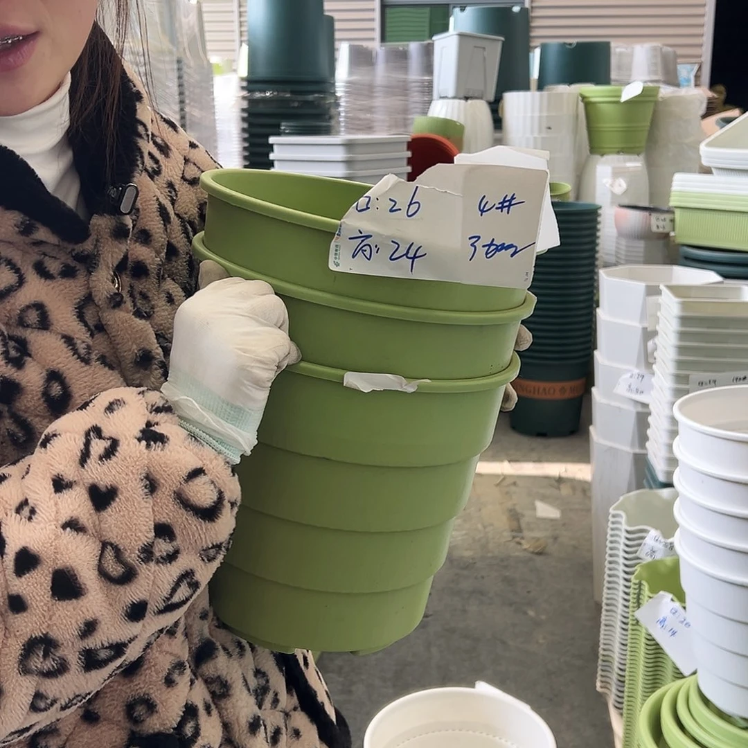 多孔盆4#果绿4个无托