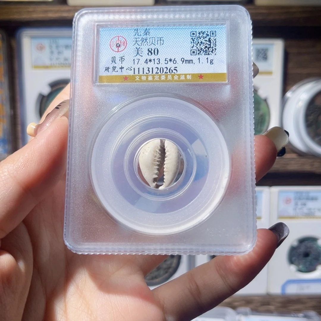 铜贝币贝币贝币贝币