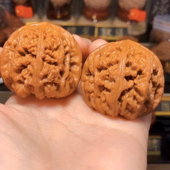 福利款：球体大粗筋