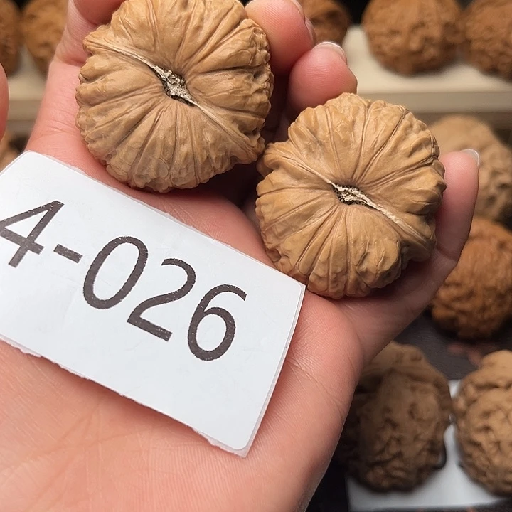 核桃41南瓜墩4026