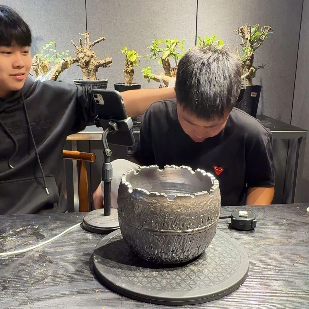 陶盆一个个个个个