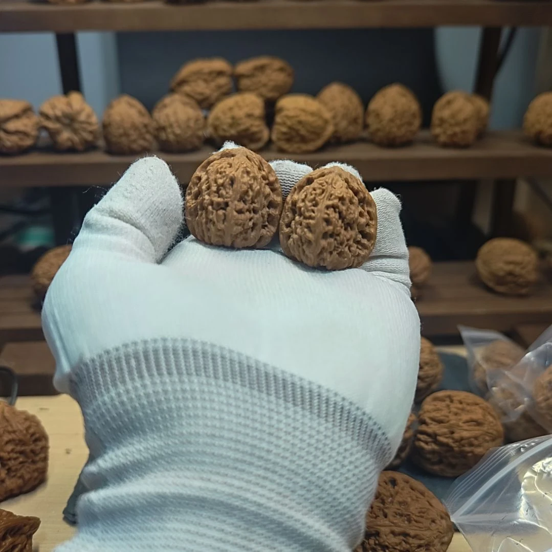 三***一涿鹿南疆石小手捻毕业