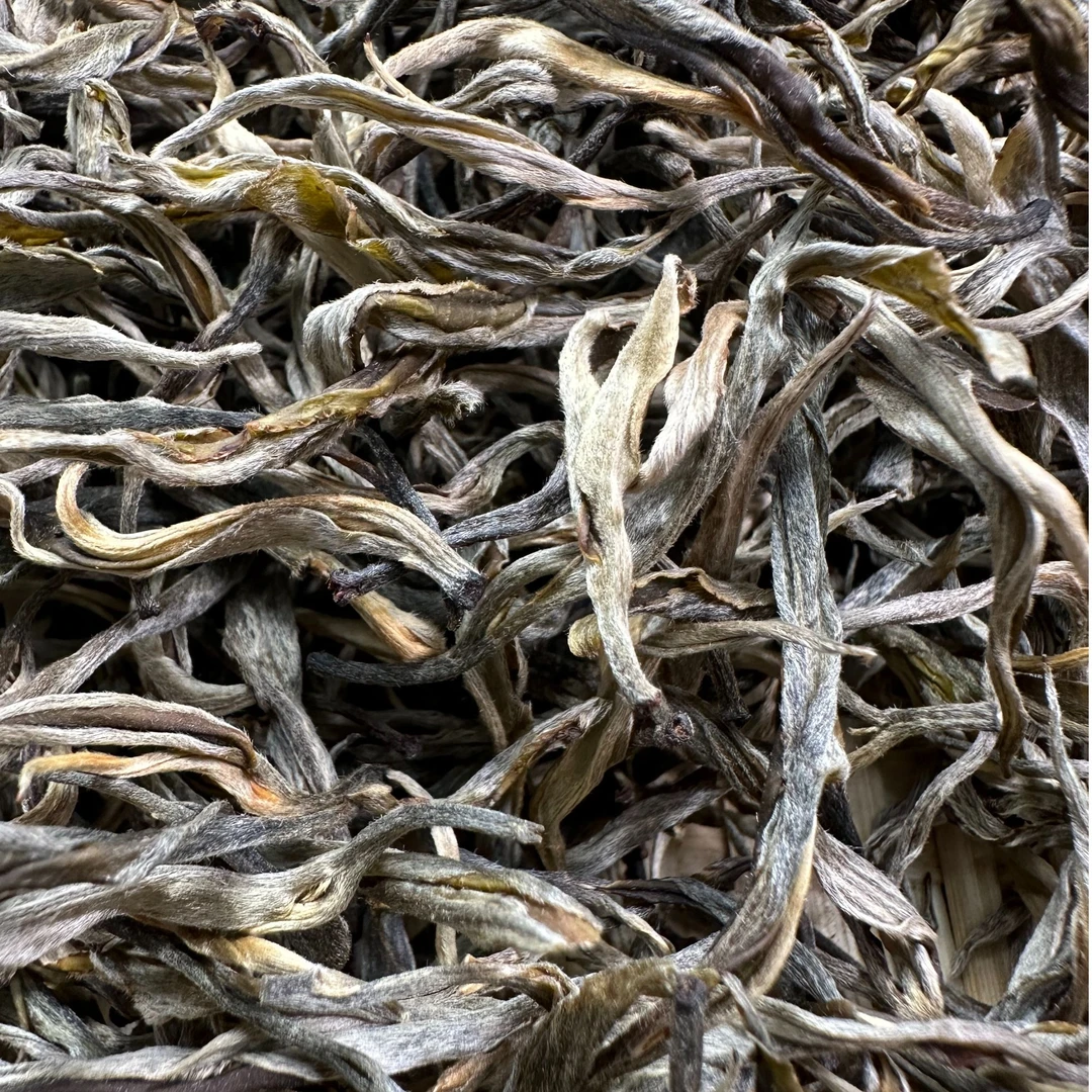 「果敢古树」2023年头春/果敢古树/高端普洱生茶