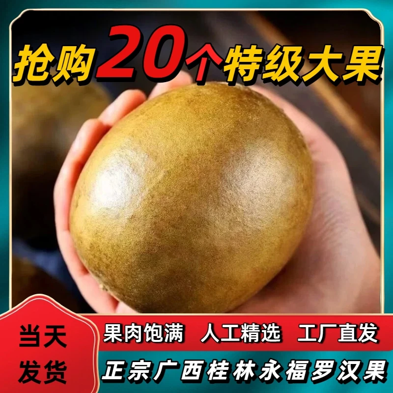 正宗广西桂林高山新鲜大果罗汉果干果独立包装搭配金银花泡茶专用
