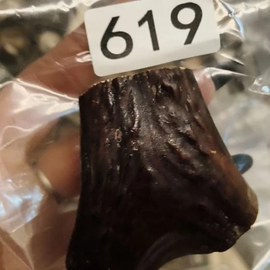 生***子鹿角鹿角鹿角鹿角鹿角鹿角