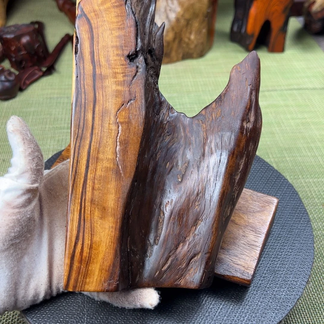 大果紫檀（缅甸花梨）可***吗