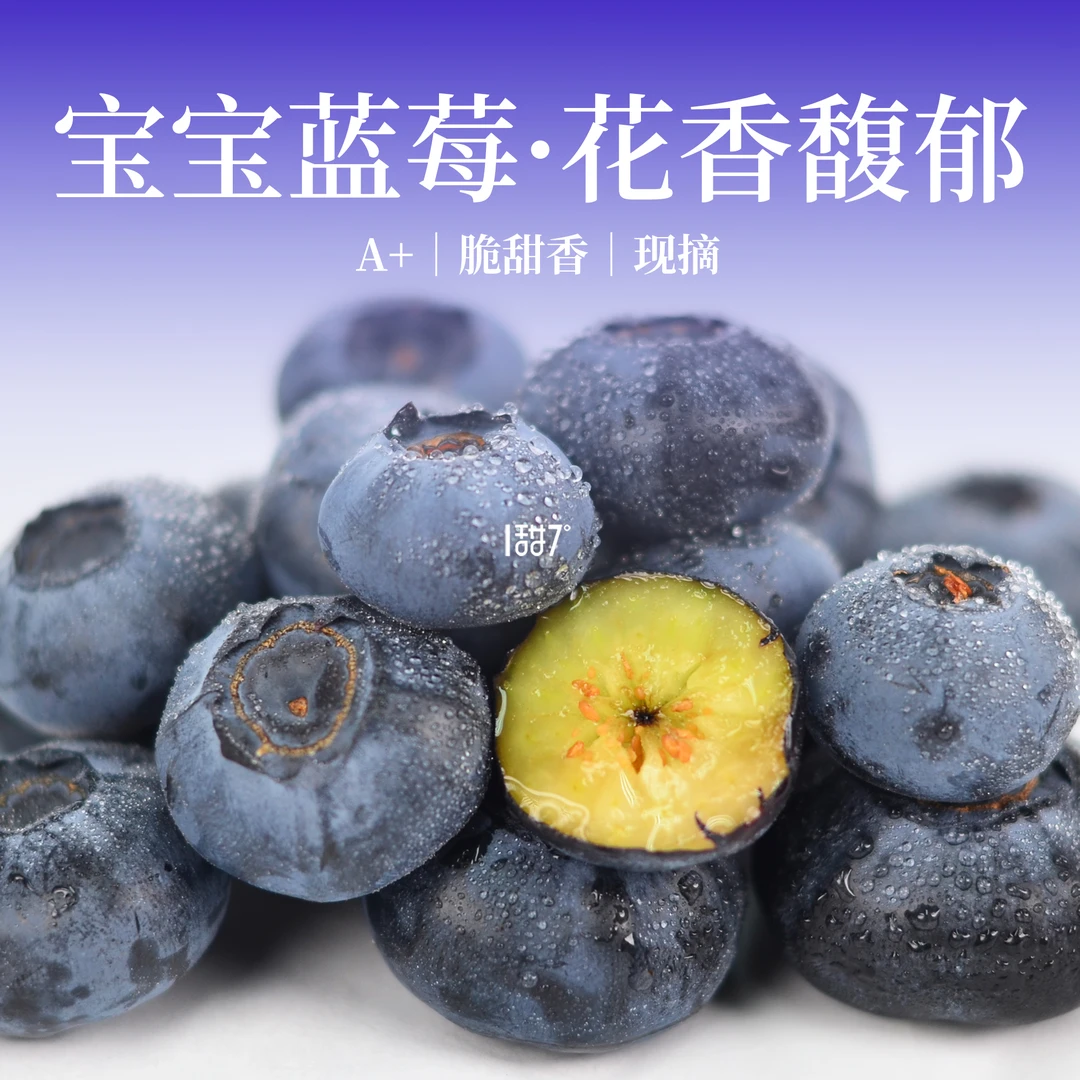 「宝宝蓝莓」丹东蓝莓孕妇水果15-20mm花香四溢新鲜采摘顺丰包邮