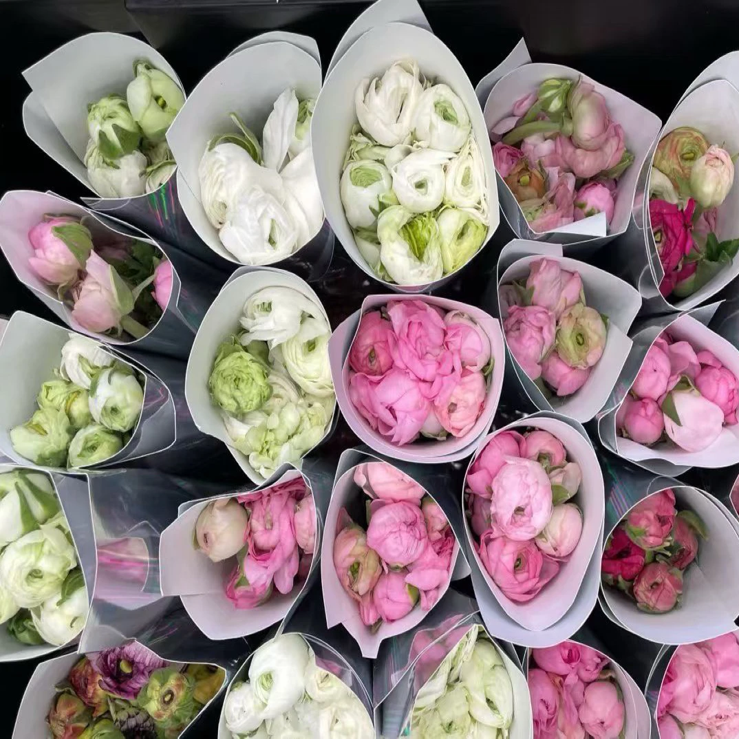 洋牡丹风铃鲜花云南水培鲜切花高级小众室内插花花束