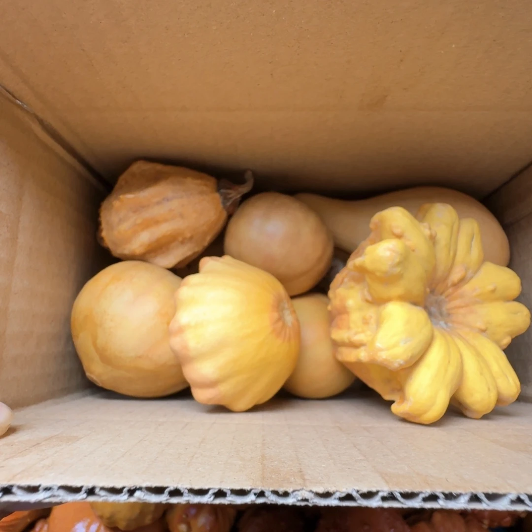 一**行特价葫芦不退不换