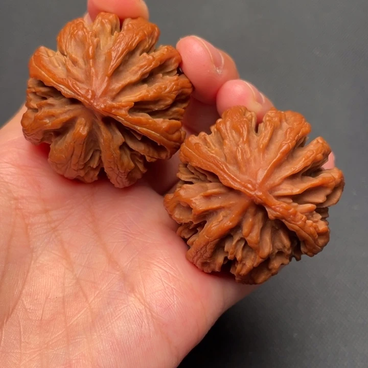 菩提籽类秦岭野生核桃文玩