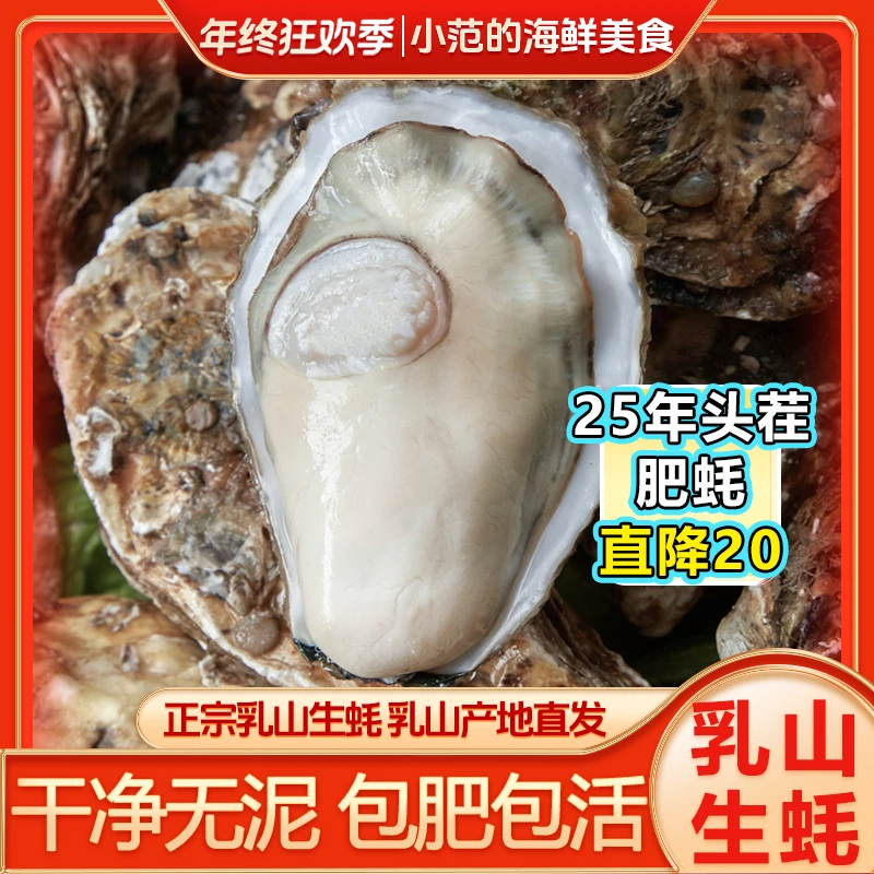 【小范海鲜】 乳山生蚝牡蛎 源产地现捞直发 鲜活到家 5斤/8斤装