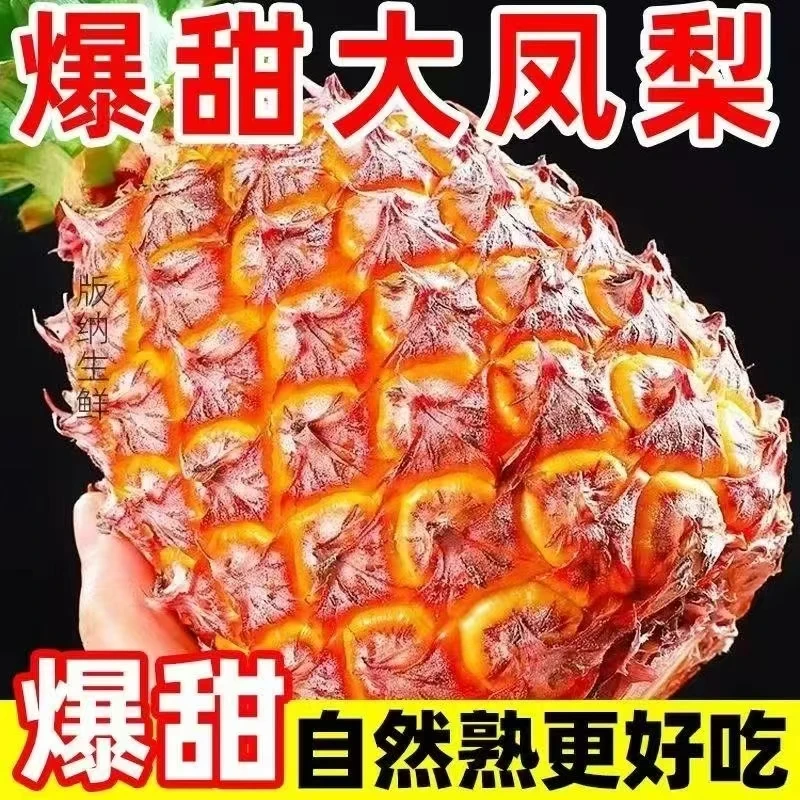 朱【不发全黄果】正宗金钻凤梨香甜多汁产地直销包邮