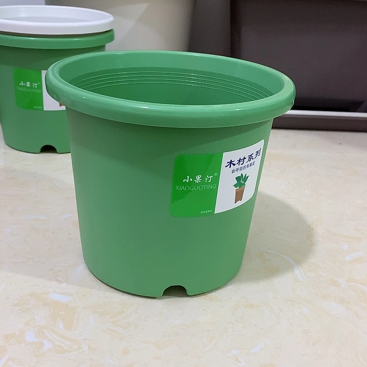 小果汀17口绿5个无托