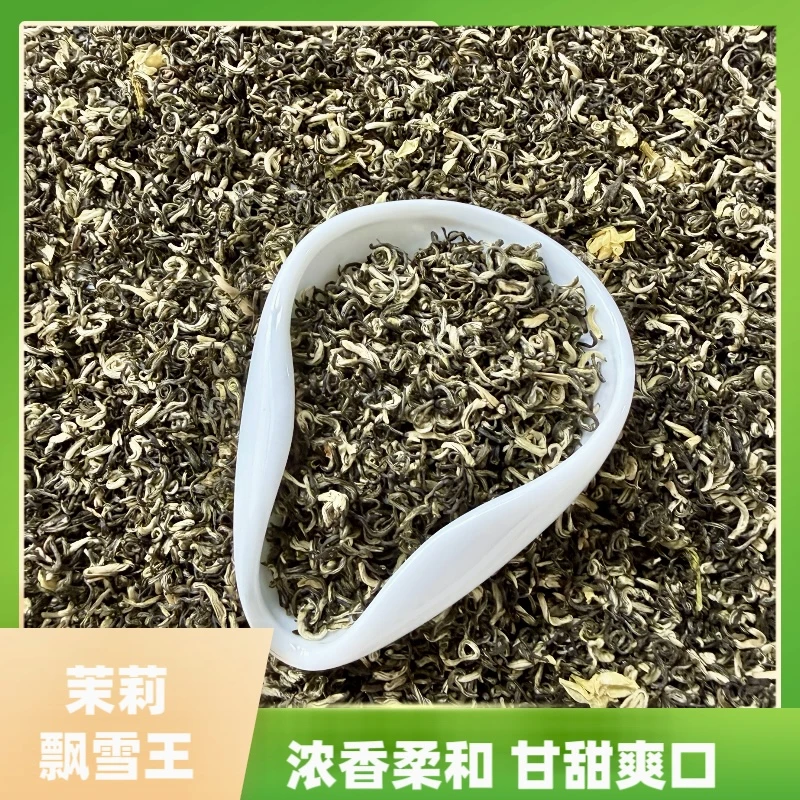 茉莉飘雪王 新茶茉莉花茶 花香浓郁 回甘清甜