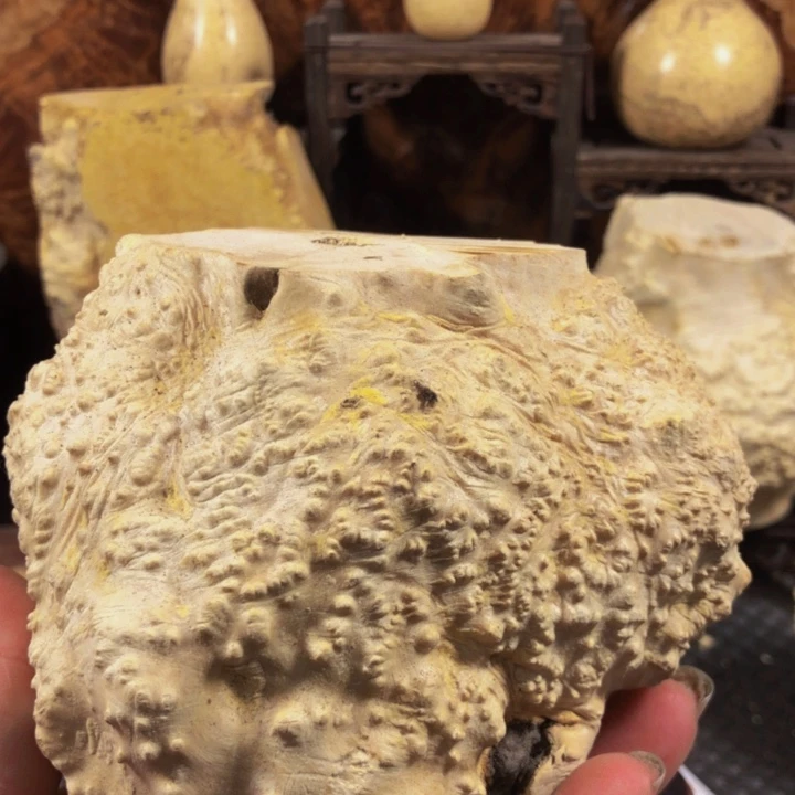 木原*木料木料木料木料