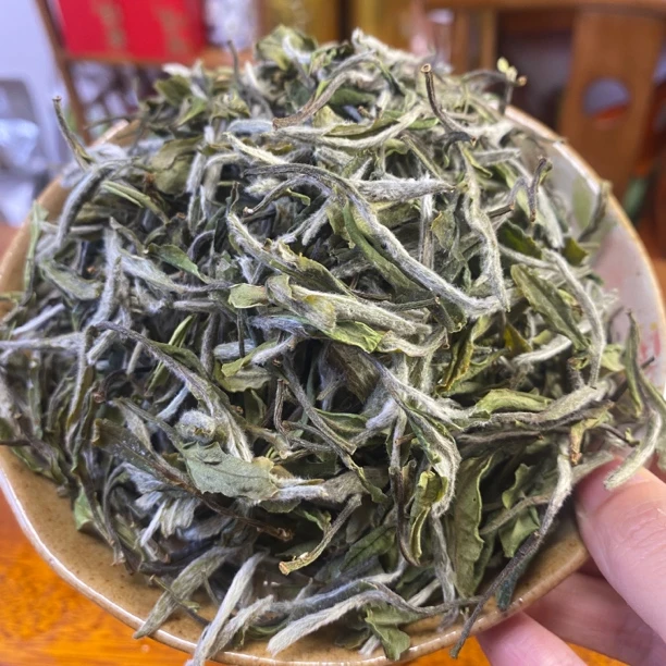 正宗纯日嗮 2025年散茶花香牡丹