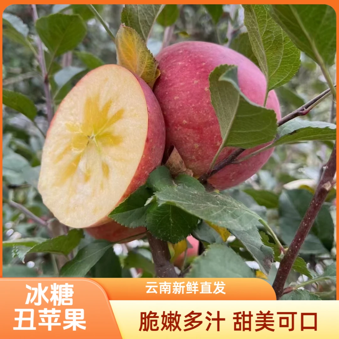 云南昭通冰糖心富士丑苹果现摘现发新鲜应季孕妇水果5斤包邮