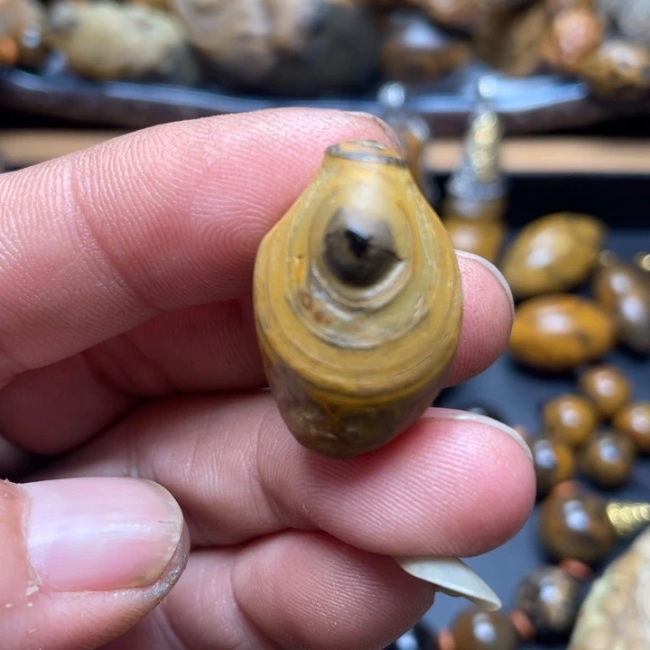石材纯天然原石奇石105
