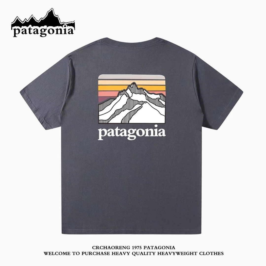 Patagonia巴塔户外哥尼亚经典logo印花纯棉宽松短袖T恤男女潮
