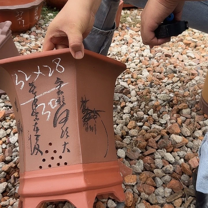 紫砂花盆紫砂花盆
