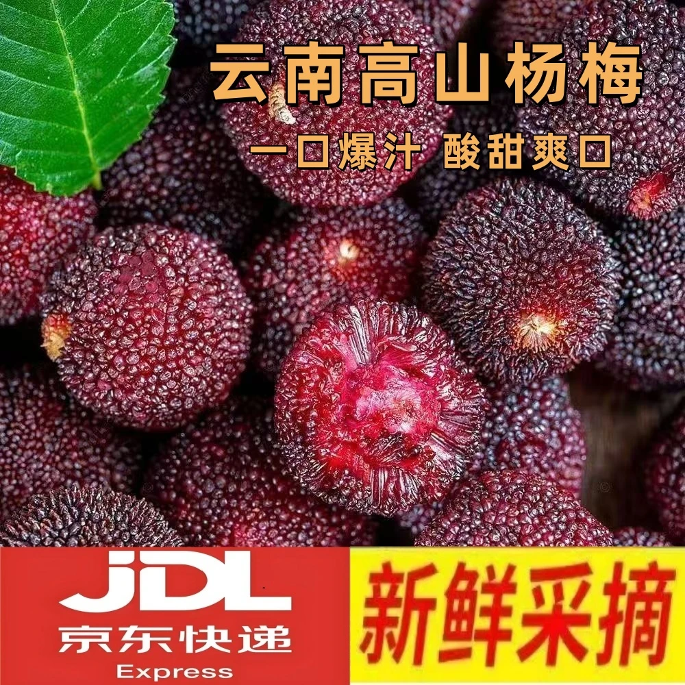 （京东空运）云南石屏高原特早头茬杨梅酸甜可口现摘现发应季水果