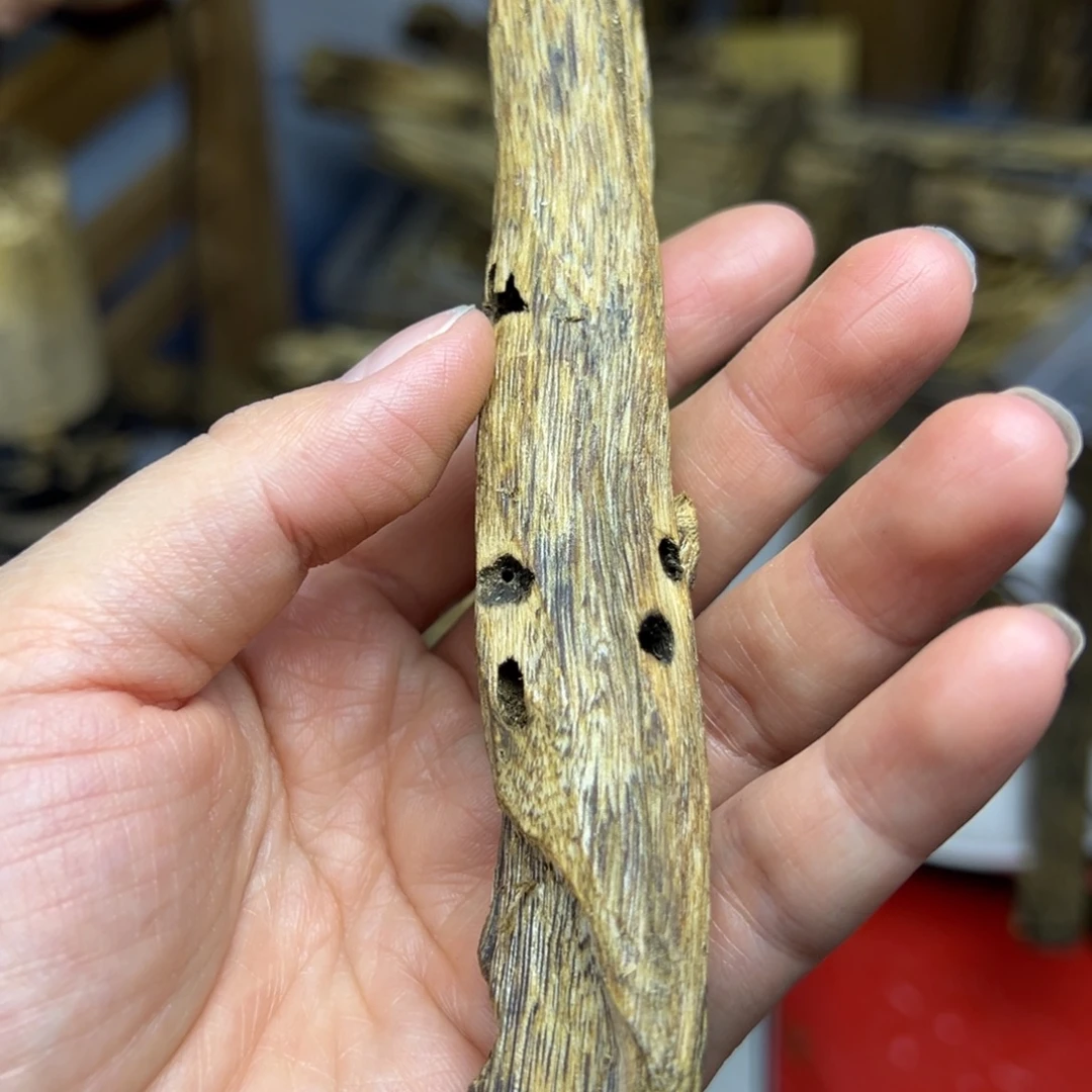 线香奇楠虫漏香14克