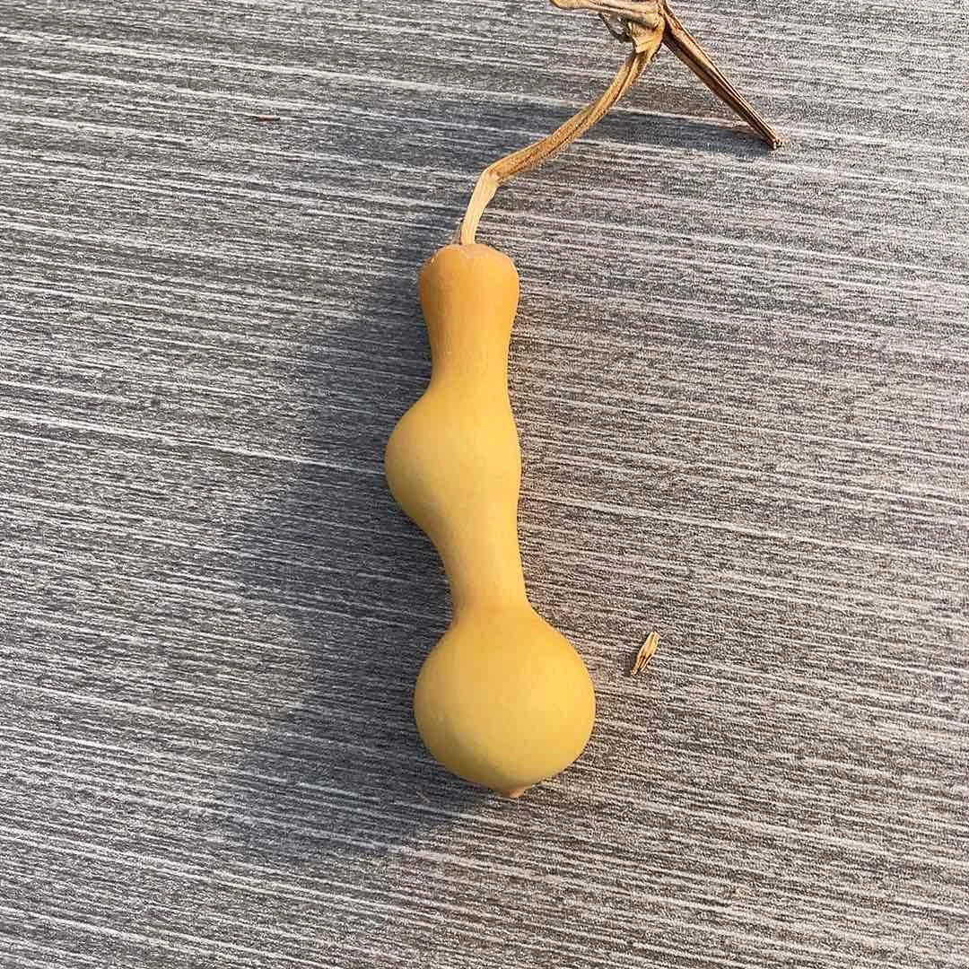 正***航88555555555555588888