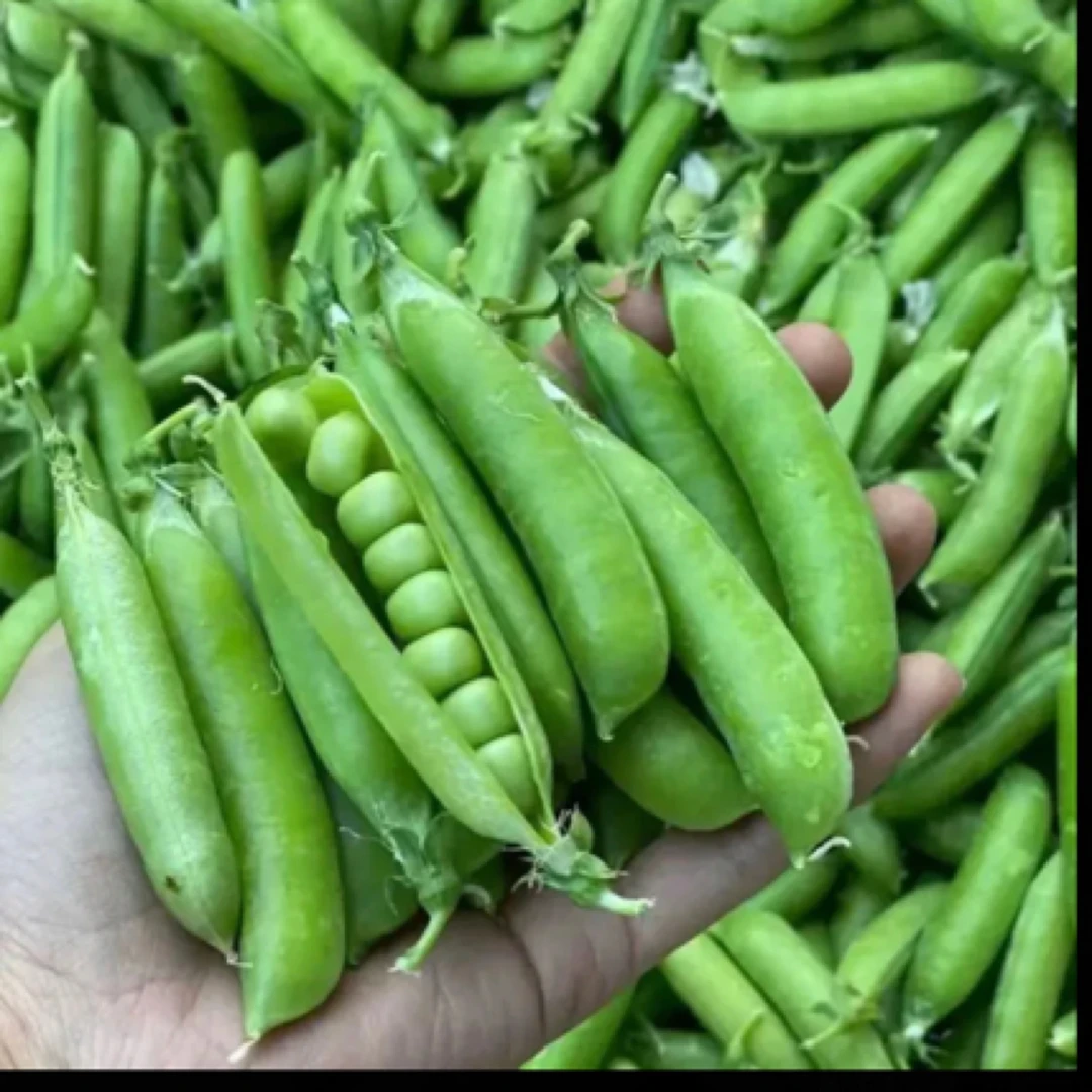 农家新鲜甜脆豌豆3斤