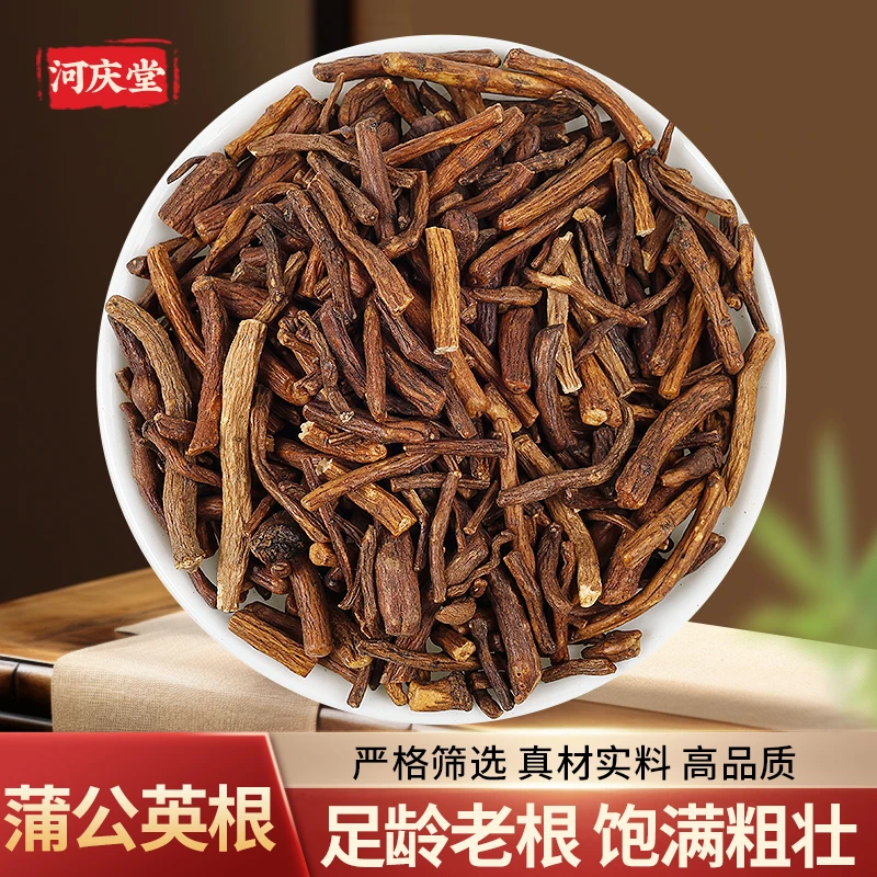 【蒲公英根】精选高品质蒲公英茶蒲公英根叶冲泡茶水道地产区婆婆丁